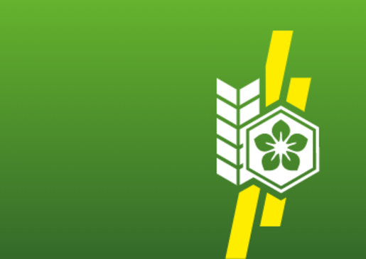 Platzhalterbild Platzhalterbild